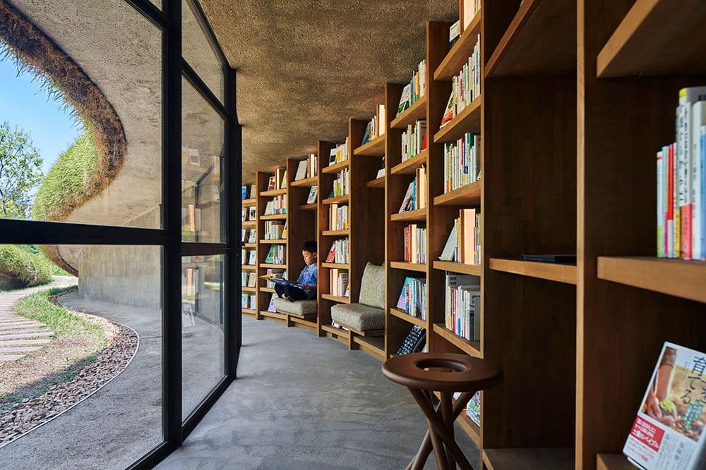 Library in the Earth