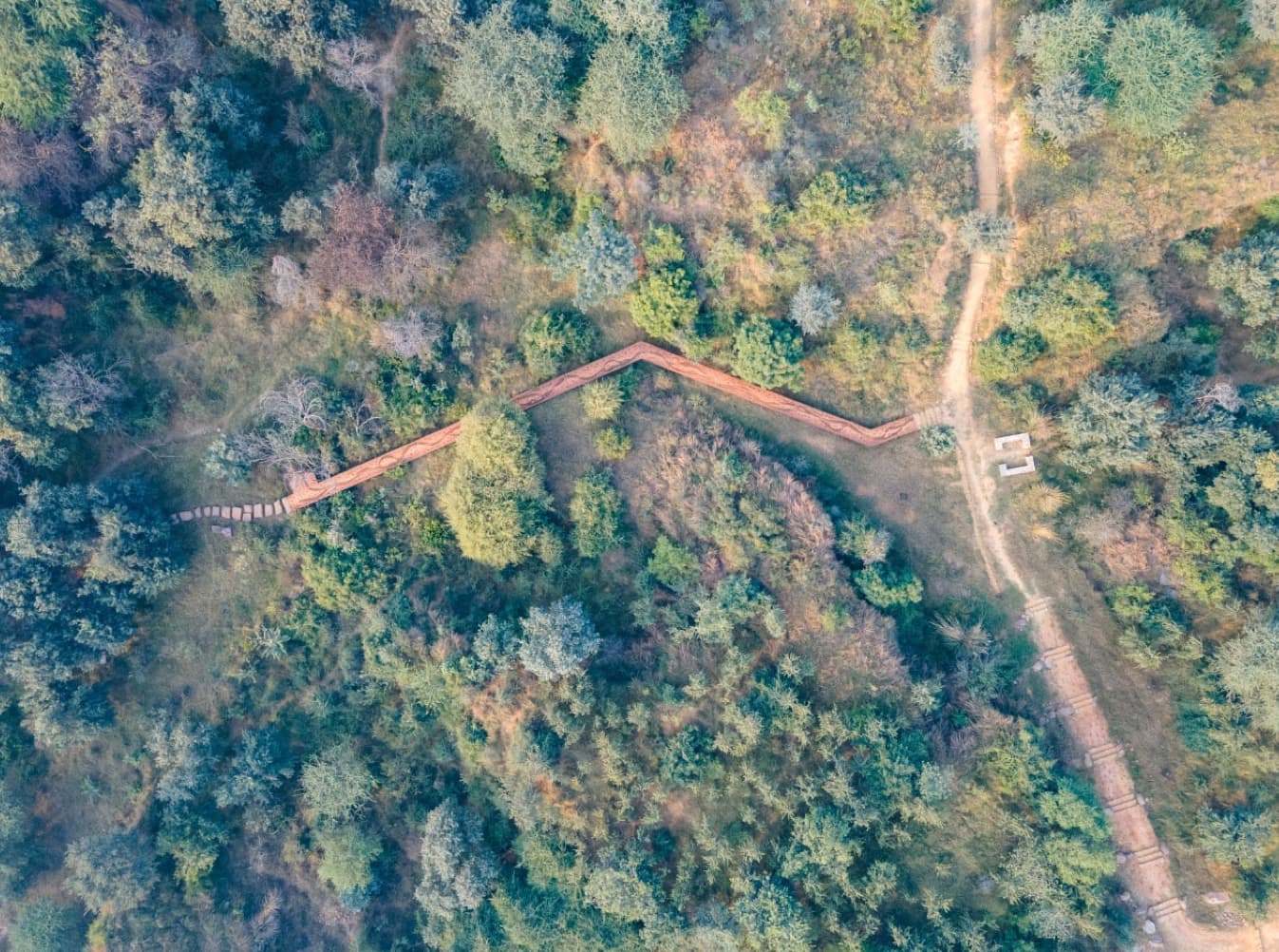 Revitalisation of Sikanderpur Forest, Gurgaon